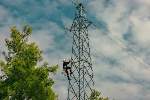 AEDAŞ’tan elektrik şebekelerine müdahale edilmemesi konusunda uyarı
