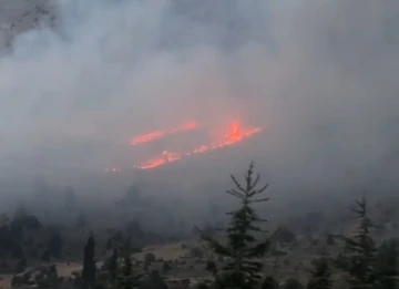 Afşin’de orman yangını
