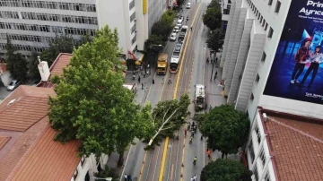 Ağaç dalı yaya ve araç trafiğinin ortasına düştü, facia kıl payı atlatıldı
