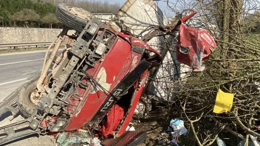 Ağaçları devirip yan yatan kamyonet kağıt gibi ezildi: 2 yaralı
