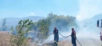 Ağaçlık alanda çıkan yangın itfaiye ekiplerinin müdahalesiyle söndürüldü
