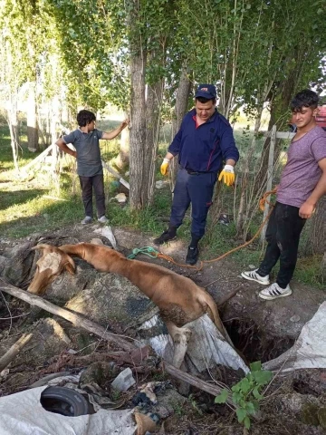 Ağrı’da itfaiye, yangın merdiveniyle ineği kurtardı
