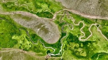 Ağrı’nın volkanik platolarındaki menderesler dronla görüntülendi
