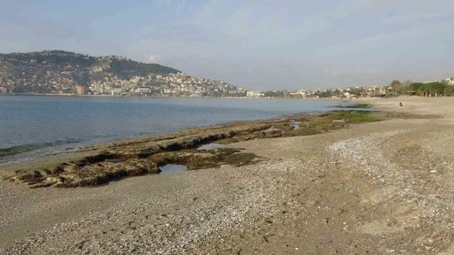 Alanya’da deniz suyu 7-8 metre çekildi
