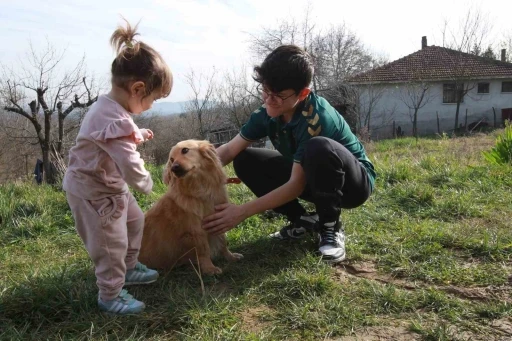 Alex yeni yuvasına kavuştu
