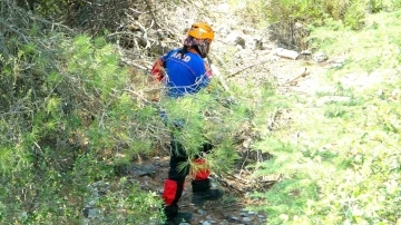 Alzaymır hastası kadın 8 gündür her yerde aranıyor
