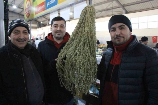 Amasya’da çiçek bamyanın fiyatı gram altını geçti, kilosu 3 bin 500 TL’den satılıyor
