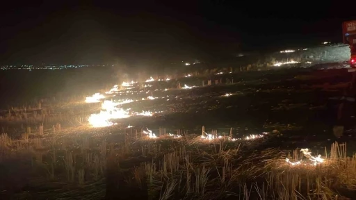 Anız yangını çevredeki tarlalara sıçradı
