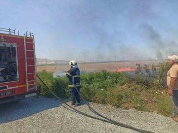 Anız yangını şehitliğe sıçramadan söndürüldü
