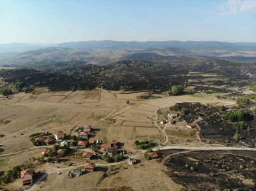 Ankara-Bolu sınırında yanan bölge dronla görüntülendi
