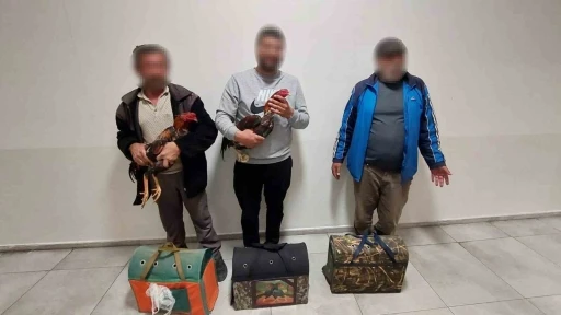 Antalya’da dövüşe hazırlanan horozlar muhafaza altına alındı
