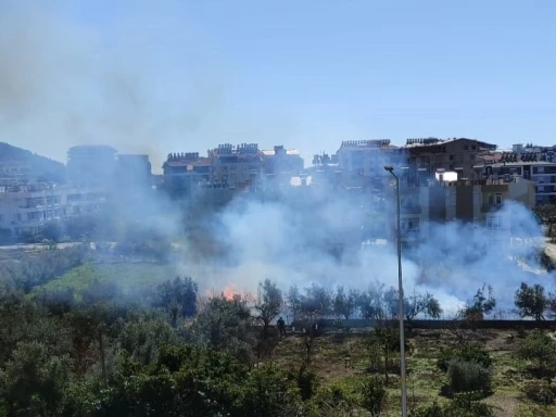 Antalya’da sazlık alandaki yangın kontrol altına alındı
