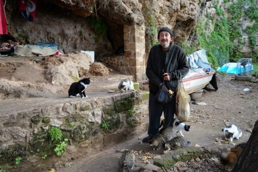 Eski Bekçi, Şimdi Kedilerin Koruyucusu