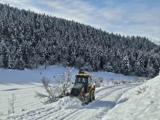 Artvin’de 68 köy yolu ulaşıma kapandı
