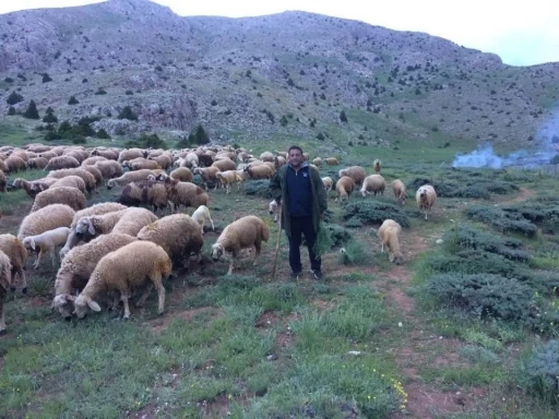 Aydın’da düzenlenen Yörük Çalıştayı’nın sonuç raporu yayınlandı
