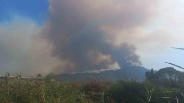 Aydın’daki orman yangınını kontrol altına alma çalışmaları devam ediyor
