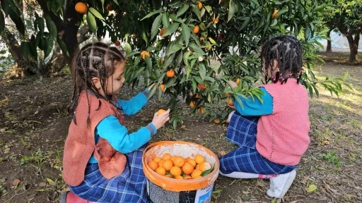 Aydın’dan Elazığ ve Şemdinli’deki engellilere vefa köprüsü
