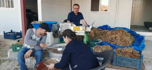 Bağbozumunda teknolojik aletler kullanılıyor
