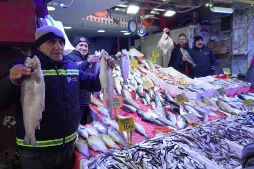 Balıkçılar 7 sezonda bir gelen bolluktan memnun
