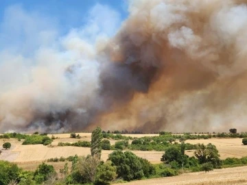 Balıkesir’de arazide çıkan yangın ormana sıçradı
