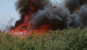 Balıkesir’de kuşların göç yolundaki sazlık alanda yangın
