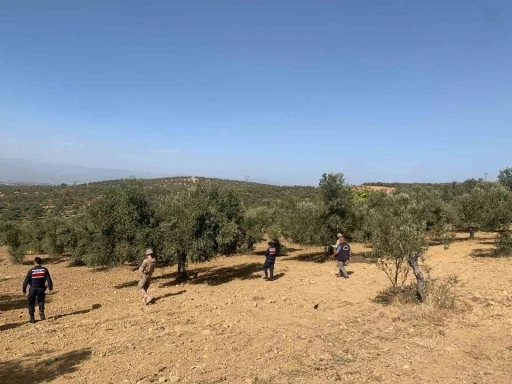 Balıkesir’de zeytinliklere jandarma koruması
