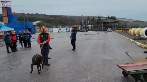 Balıkesir itfaiyesi eğitimlerle güçleniyor
