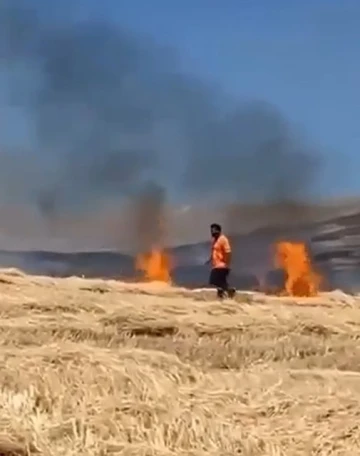 Balya makinesinden çıkan yangında 20 dönümlük tarla zarar gördü
