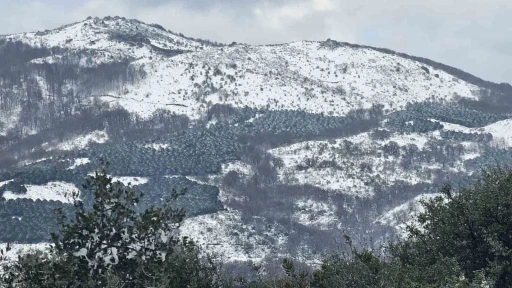 Bandırma ve Erdek’e mart ayında kar sürprizi
