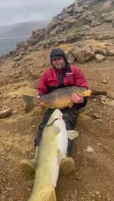 Barajda tuttuğu 30 kiloluk balığı bebek gibi ayağında sallayıp ninni söyledi
