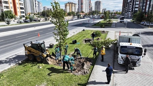 Başkan Çolakbayrakdar: &quot;Yeşil alanda dünya standardını 3’e katlayacağız&quot;
