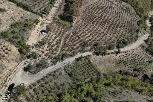 Başkan Sandıkçı’dan dron ile kontrol
