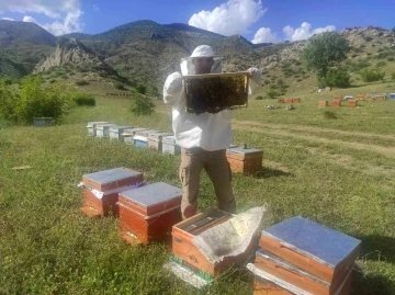 Batman’da hazırlıklarını tamamlayan arıcılar organik bal üretimi için yaylalara çıkıyor
