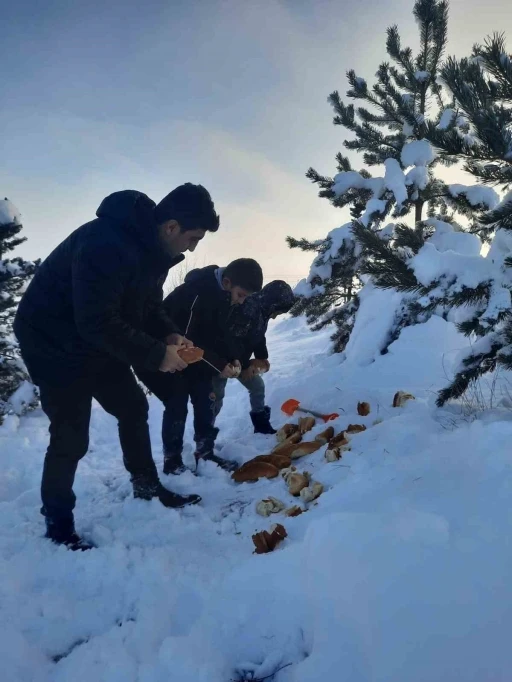 Bayburt’ta öğrenciler hayvanlar için doğaya yiyecek bıraktı
