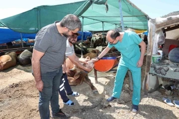 Bayraklı’da Kurban Bayramı’na hazırlıkları
