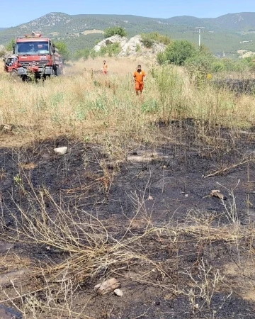 Bilecik’te elektrik tellerine çarpan kuş sürüsü yangına sebep oldu
