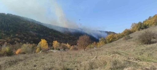 Bilecik’te orman yangınını söndürme çalışması sürüyor
