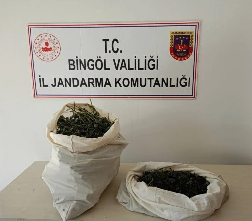 Bingöl’de 7 kilo esrar ele geçirildi
