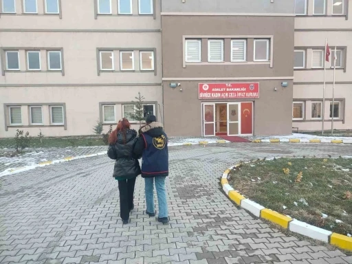 Bingöl’de aranan 4 şüpheli yakalandı
