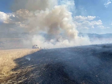 Bingöl’de çıkan orman yangını evlere sıçramadan söndürüldü
