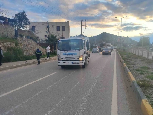 Bodrum'da Köpek Havlaması Kazaya Neden Oldu