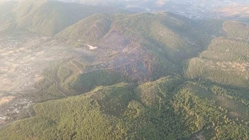 Bodrum’daki orman yangını kontrol altına alındı