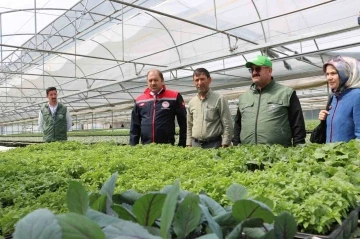 Bölgenin fidesi Erzincan’dan
