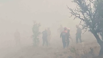 Bolu’da kontrol altına alınan yangın tekrar alevlendi
