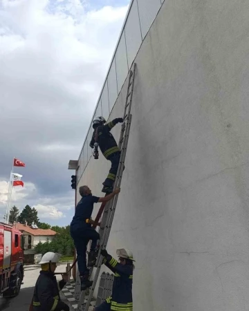 Bolu İtfaiyesi afetlere karşı eğitimlere devam ediyor
