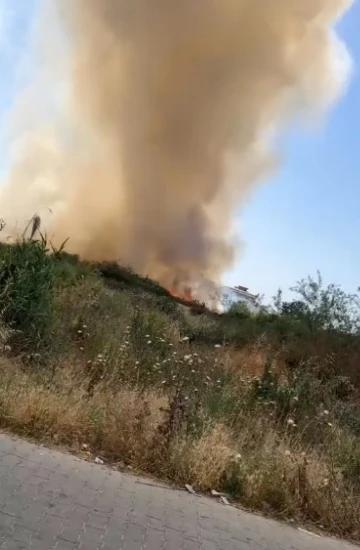 Boş arazide çıkan yangın korkuttu
