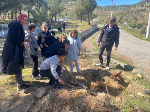 Bozyazı’da fidanlar toprakla buluşturuldu
