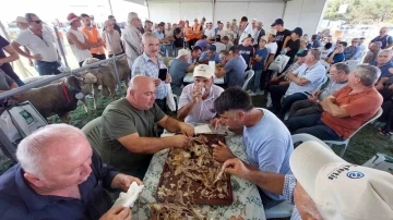 Bu da oğlak yeme yarışması: 10 kilo oğlağı çiğnemeden yediler
