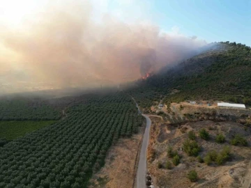 Bursa’da yangın
