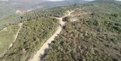 Bursa’da zeytin hırsızlarına dronlu denetim
